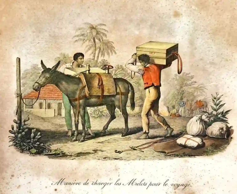 Mascates carregando mulas com mercadorias para viagem