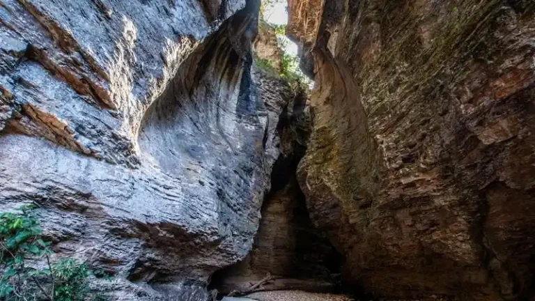 Bocaina do Farias em São João d'Aliança - Chapada dos Veadeiros