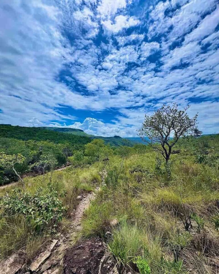 parte ala da trilha co complexo macaquinhos
